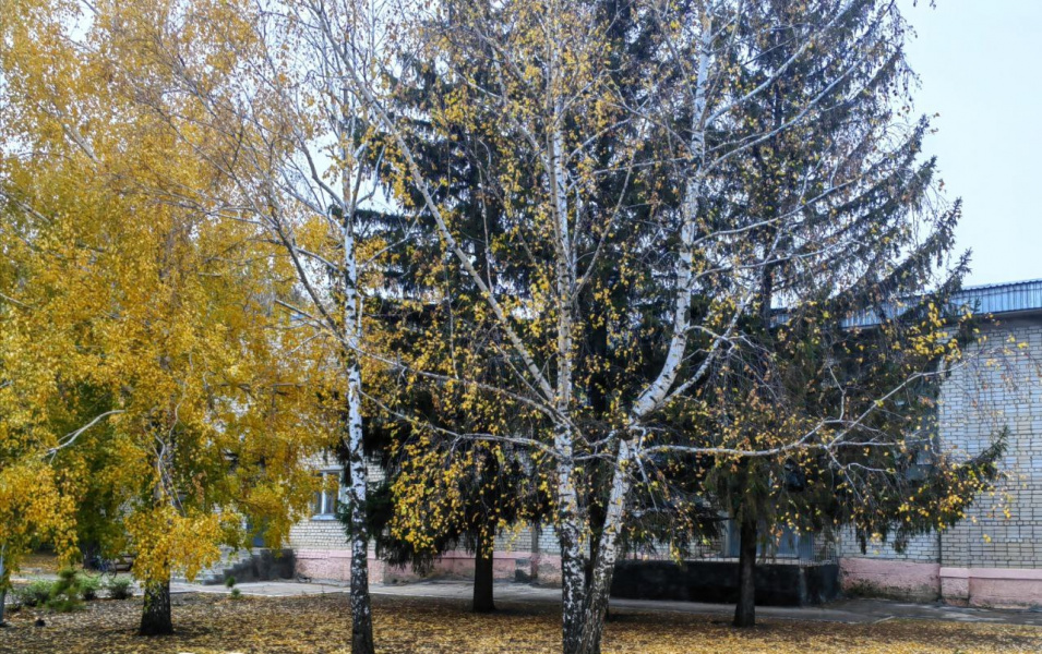 парк